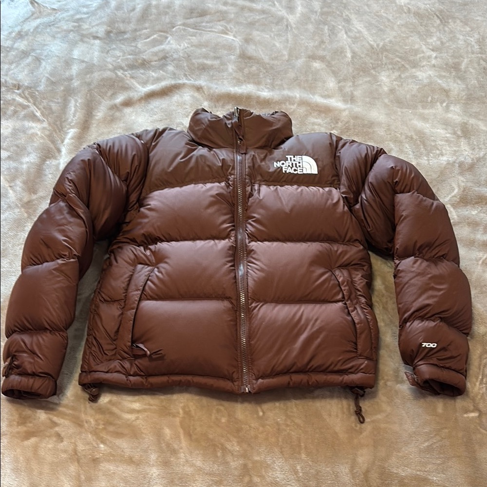 The North Face 1996 Retro down jacket